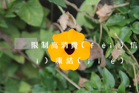 限制高消費(fèi)信用卡是否會(huì)凍結(jié)？影響解析與應(yīng)對(duì)策略